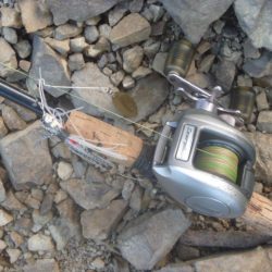 スピナベでバス