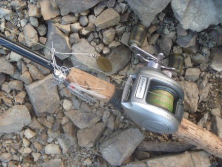 スピナベでバス