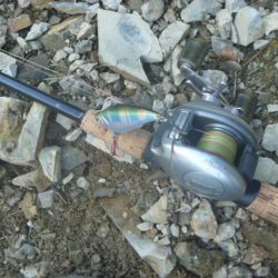 濁りバス その２