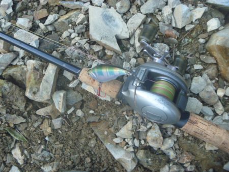 濁りバス その２