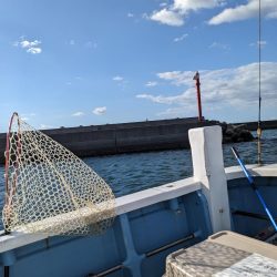 紙一重（サウス）