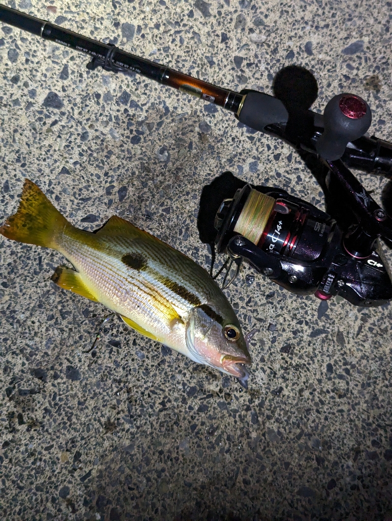 4目ライトゲーム