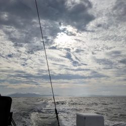 お土産いっぱい（サウス）