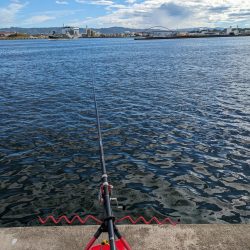 久々に水軒一文字