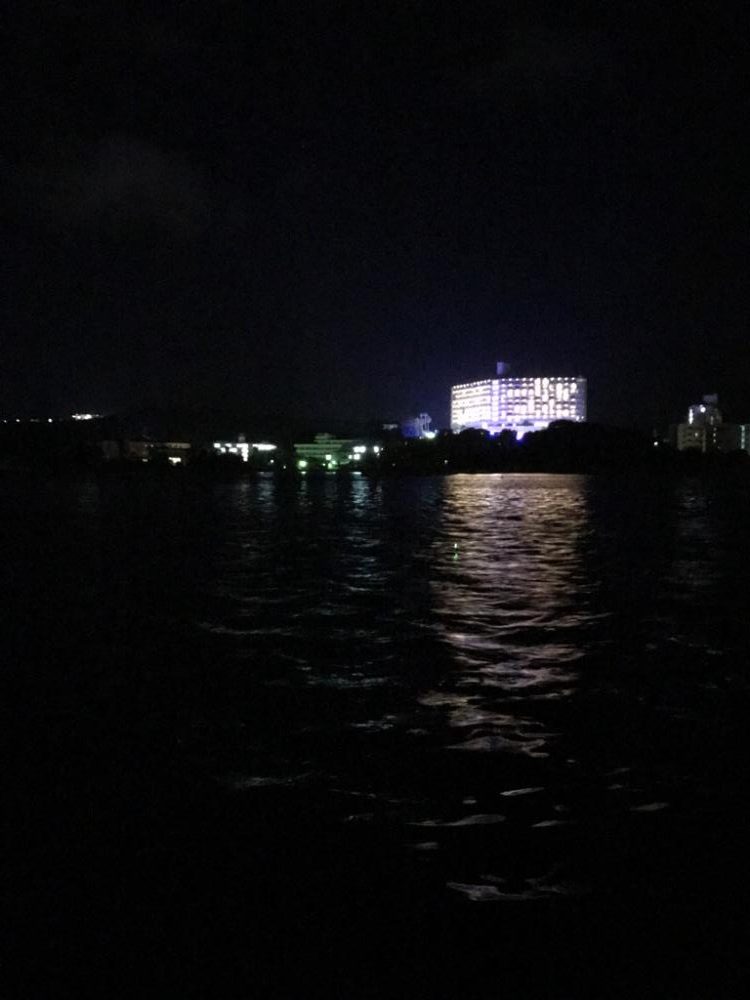 アジがつれたー♪