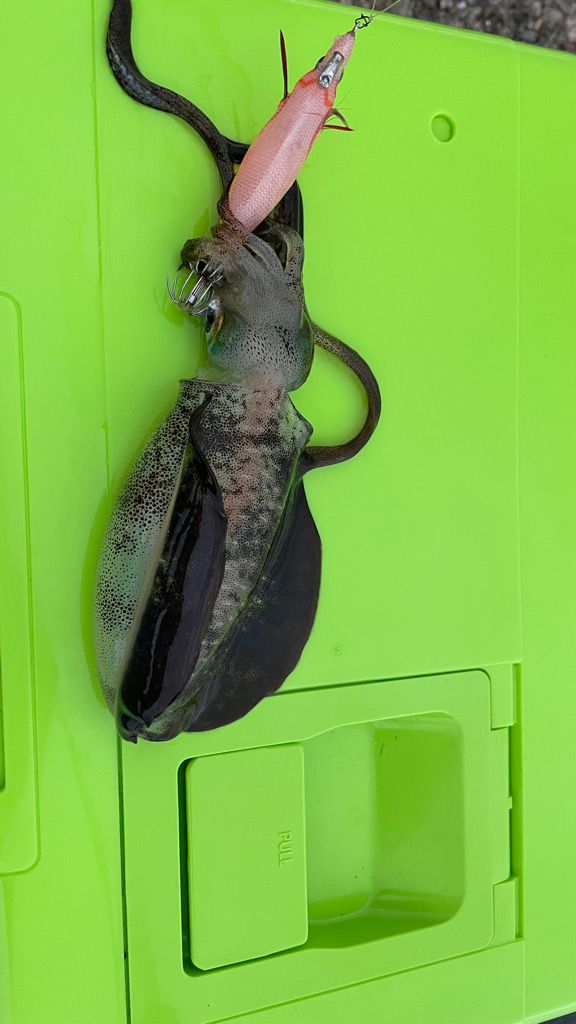 稲光のおかげ？