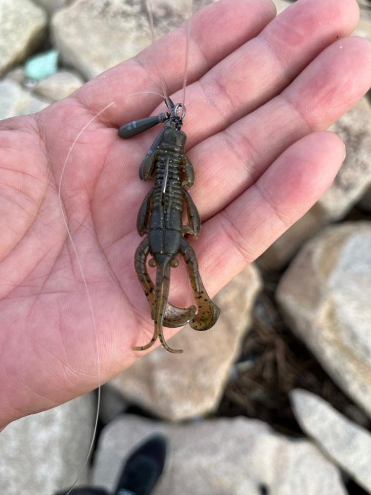 1か月半ぶりの…