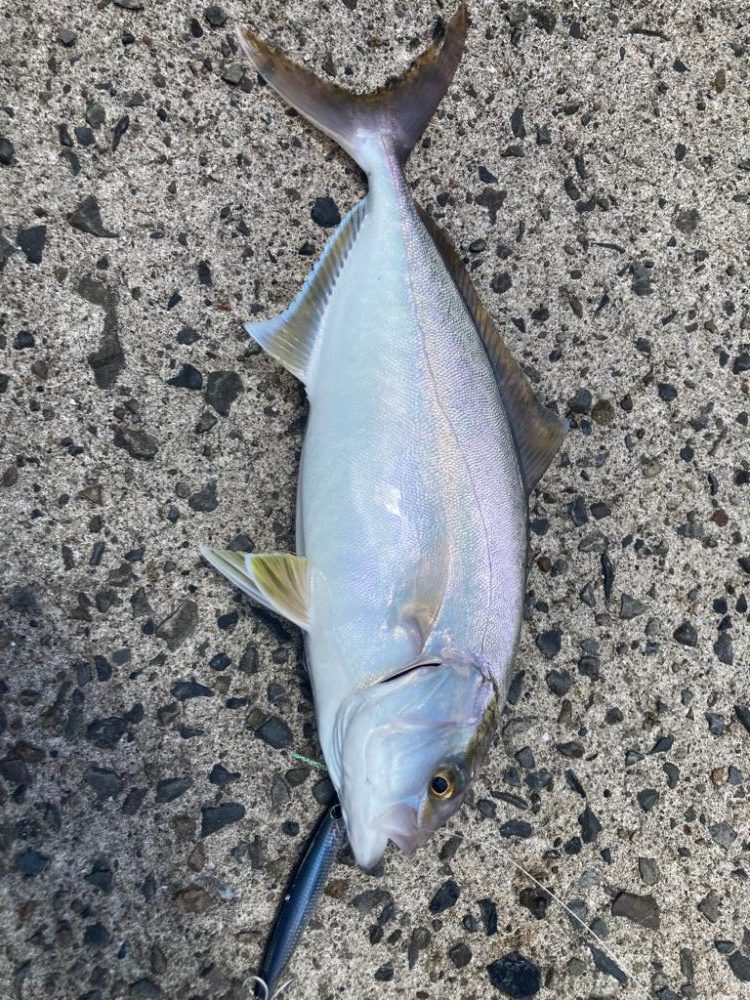 台風前の高活性