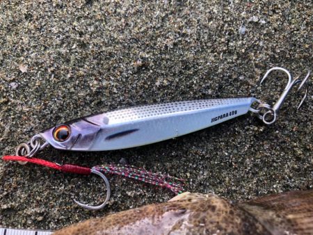 今シーズン初マゴチ