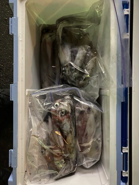 数釣り出来ました。