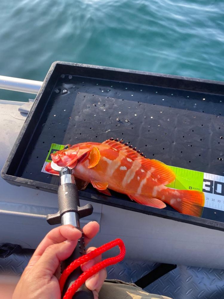 マイボート釣行