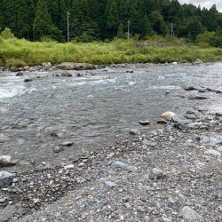 安曇川朽木漁協区