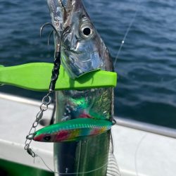 CLUE オフショア大会　8月