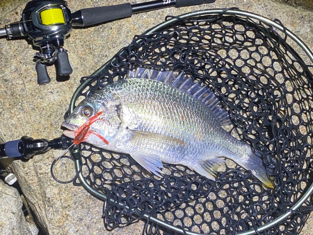 台風の影響特に無し淀川チニング