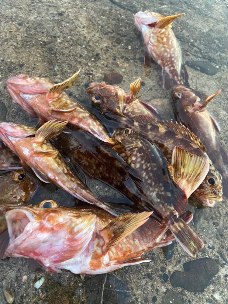 つ抜け目指して