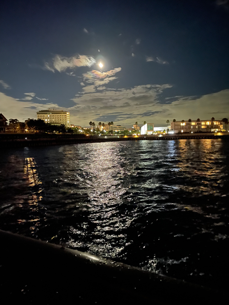 サイズアップ⤴️