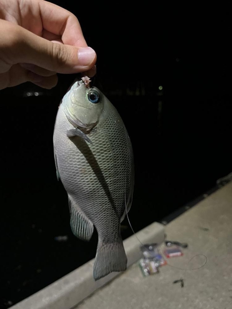 台風後の垂水漁港
