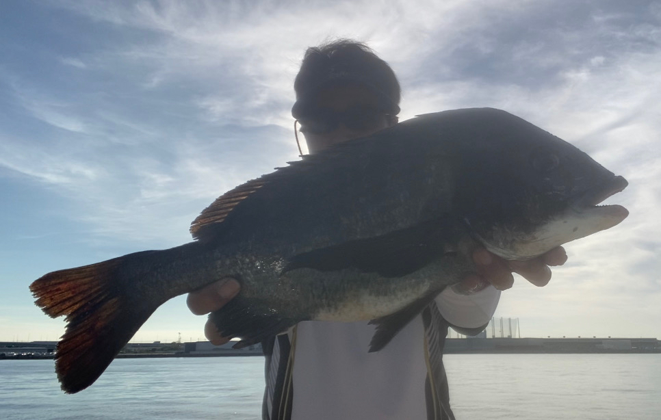 釣り開始から釣れ始め