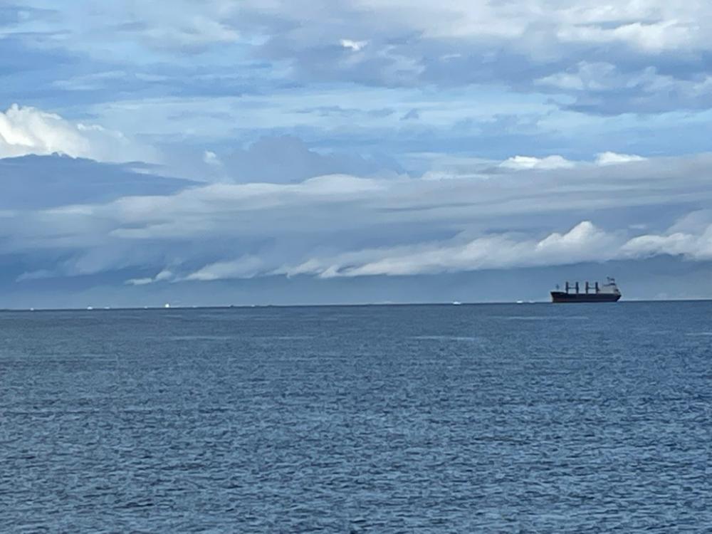 23年　初タチウオ‼️