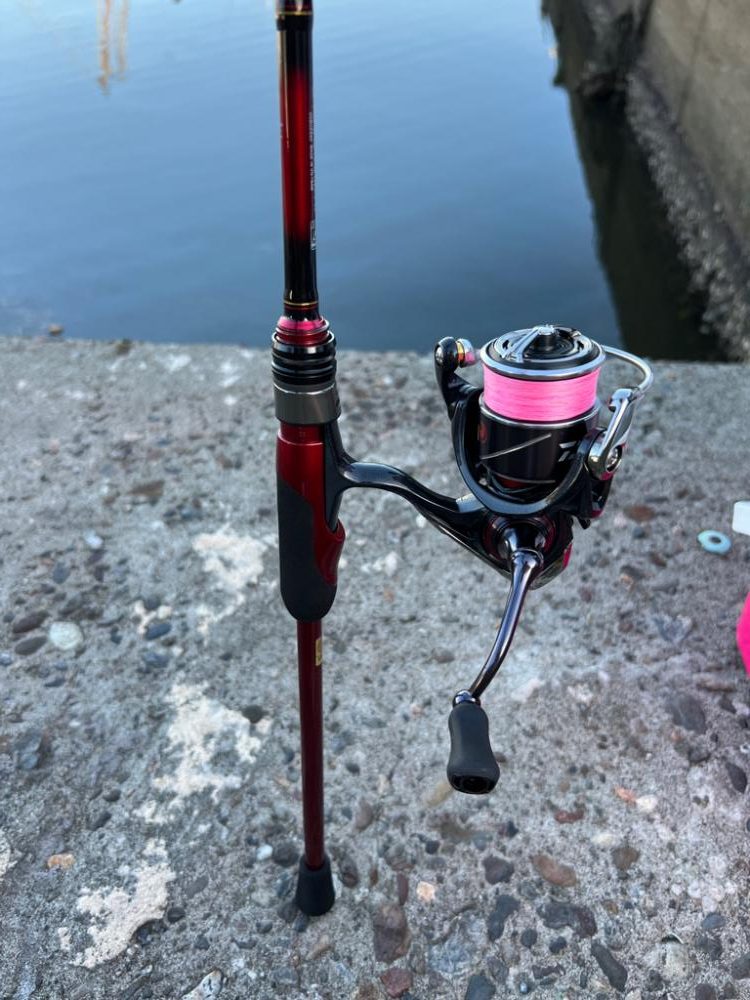 カマスにかました!