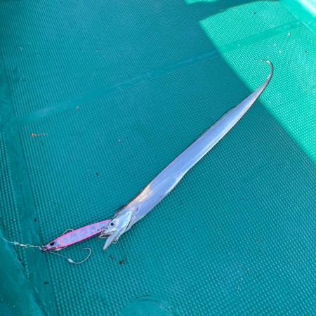 タチウオ/タチウオジギング