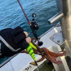 おニューのロッド担いでタコ釣り