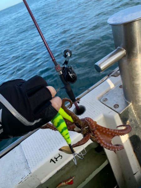 おニューのロッド担いでタコ釣り