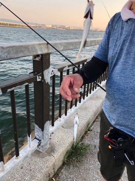 夏休み最後の魚釣り