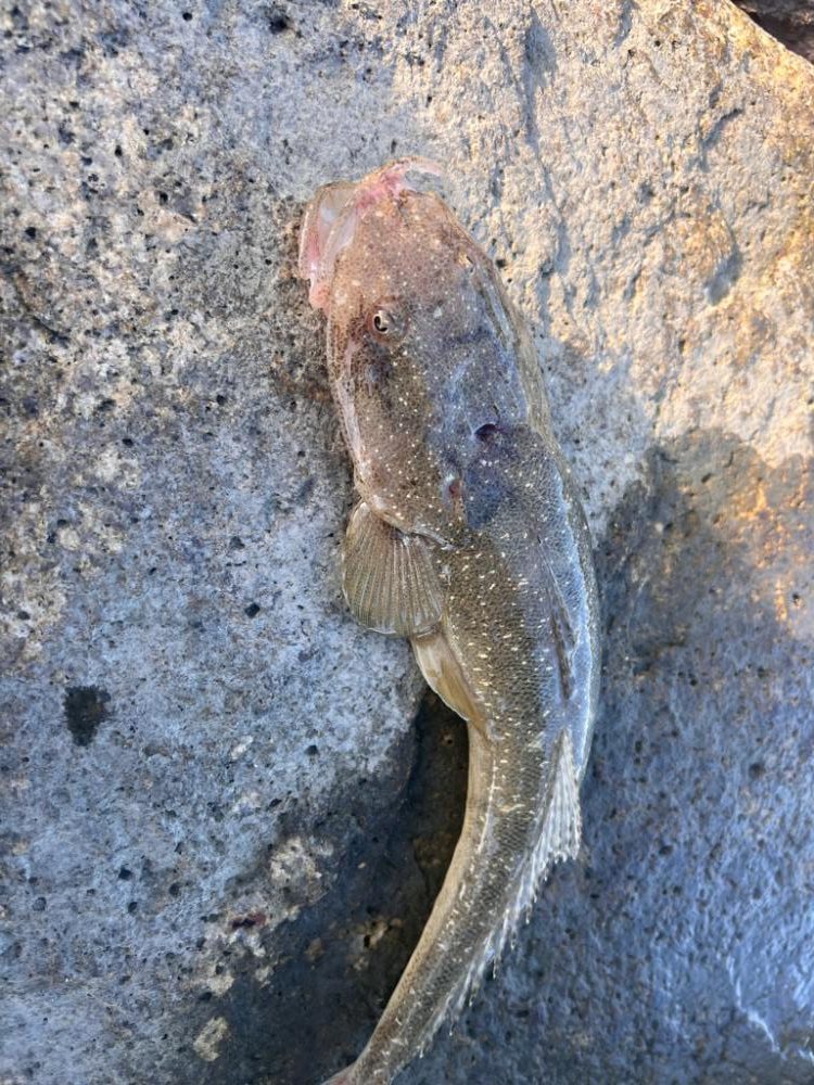 炎天下のサーフ責め!