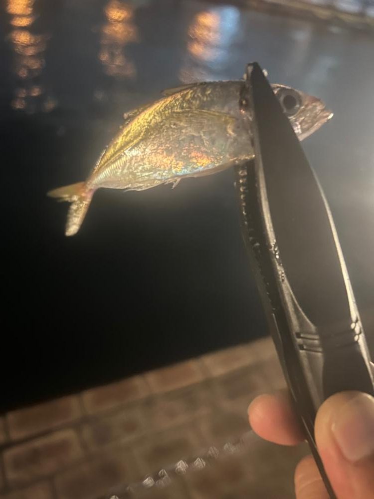 ライトゲーム!!