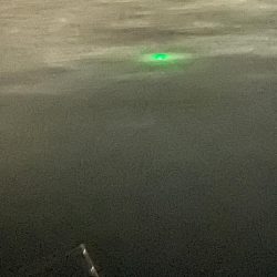 太刀魚調査に行ってきました。