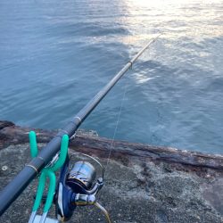 トリック　サビキ