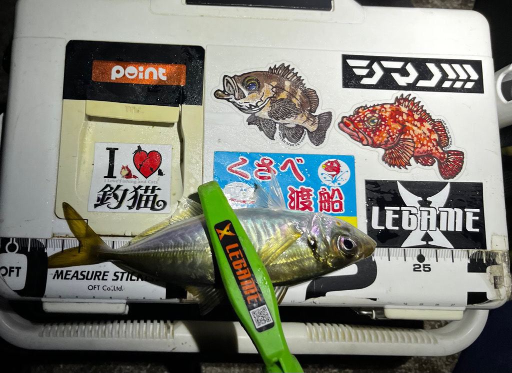 久しぶりの良型アジ