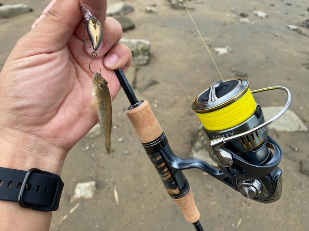 ハゼクラとチニング