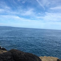 ✨鶴岡ロックショア✨