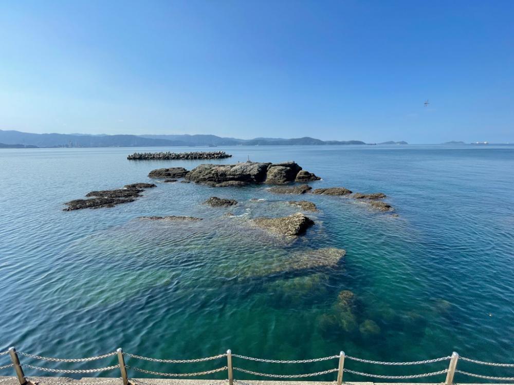 田ノ浦　ヒラメ