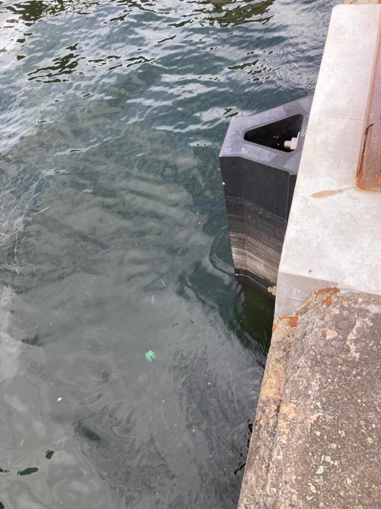 ⭐️岸ジギ釣行