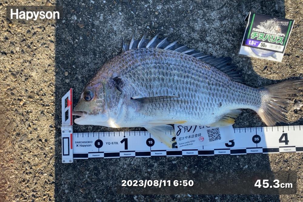 朝方から釣り始め