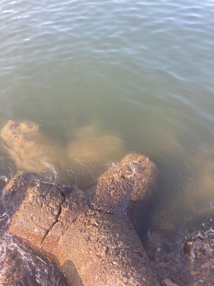 ⭐️流行りには乗らず