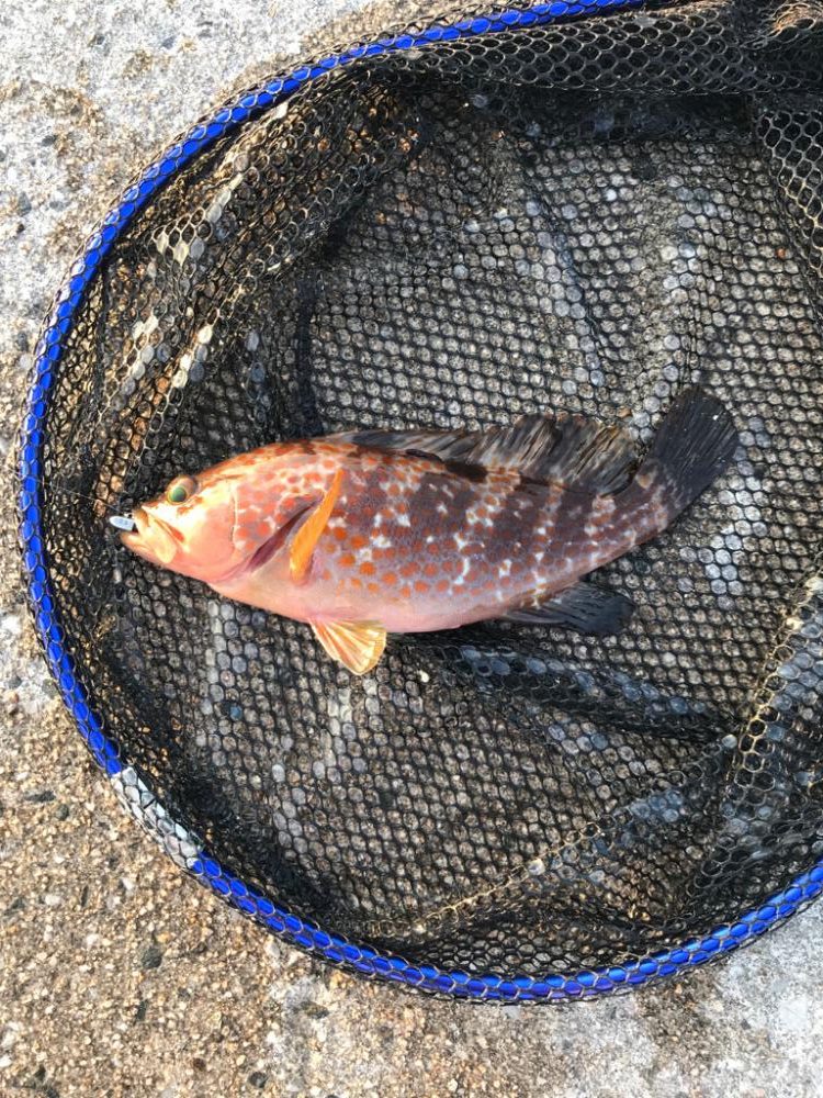 残猛暑が続く中…🥵💦