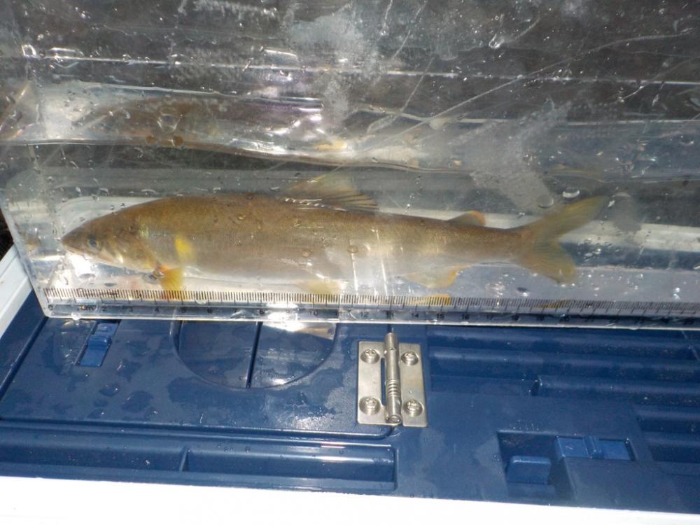 美山第8戦〜白川、そして連敗脱出〜