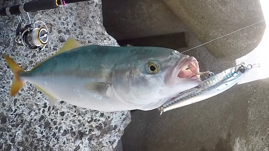 2023ライトゲーム第30戦