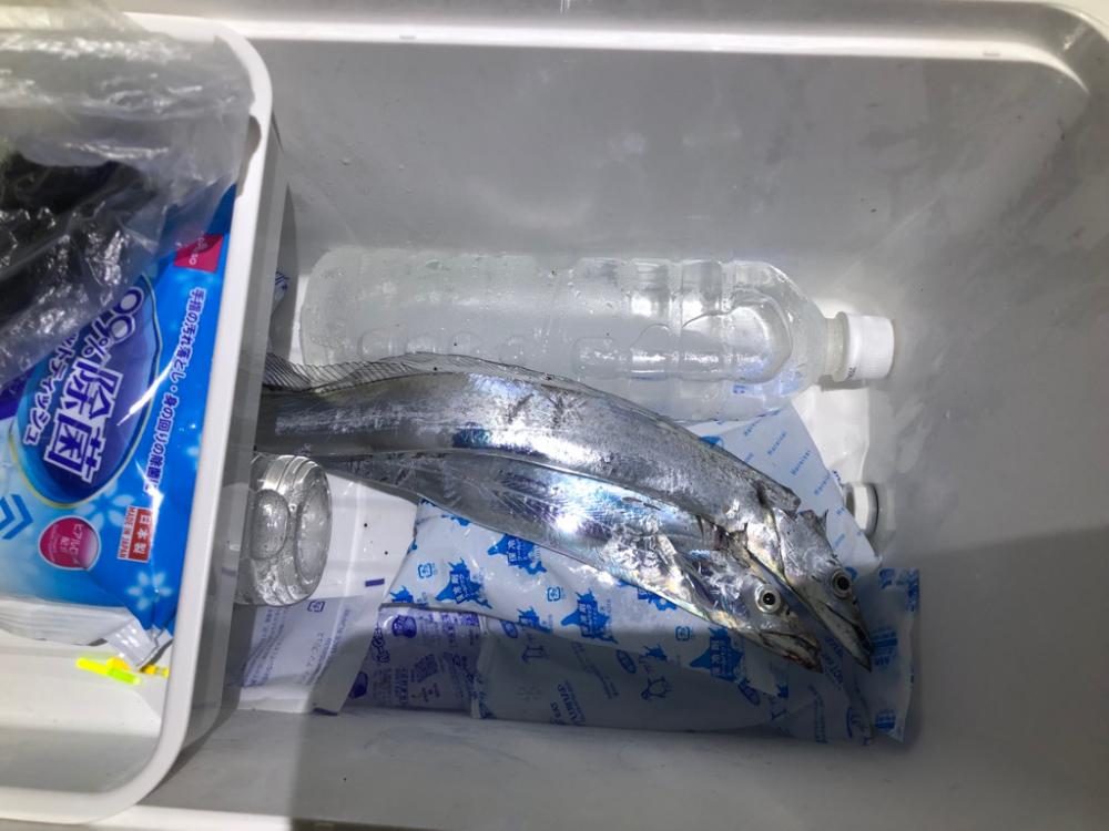 地合いあり