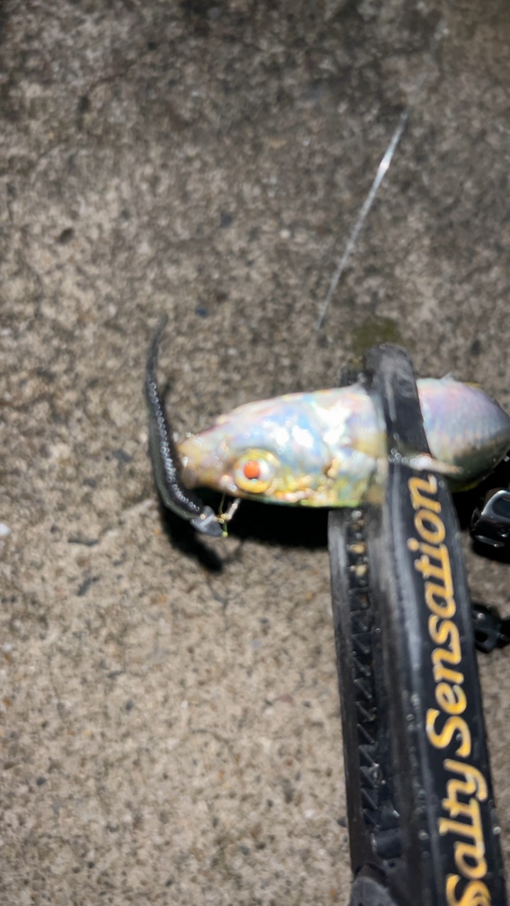 ライトゲーム楽しっ!