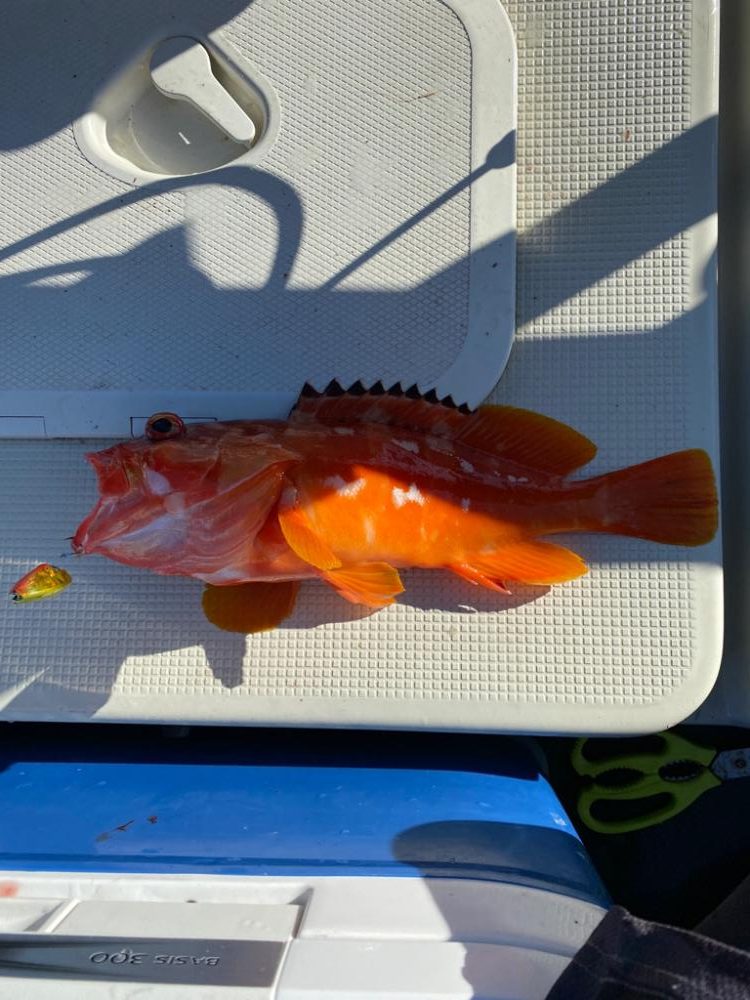 友人のプレジャーボート釣行