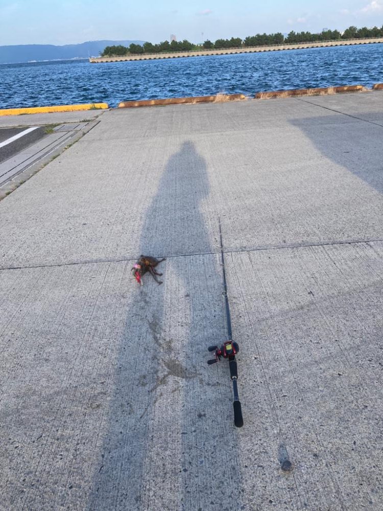 ようやく1匹釣れた