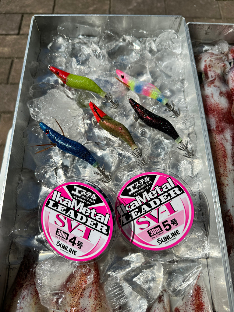 白イカ釣行