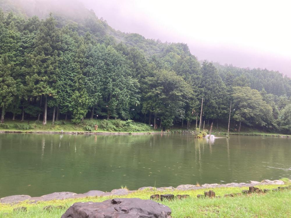 エリアトラウト