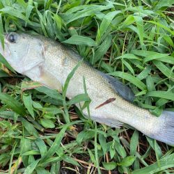 全く引かない！