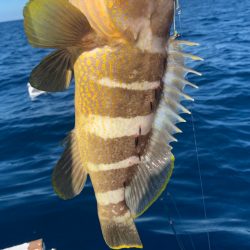 酷暑のボート釣行